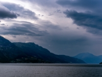 Odda